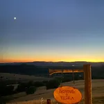 Terra - Tented *