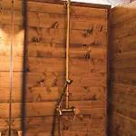 Terra - Tented Saturnia