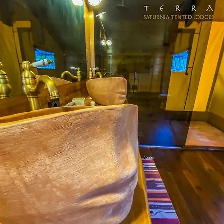 Terra - Tented Saturnia