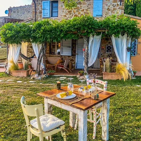 Terra - Tented Saturnia