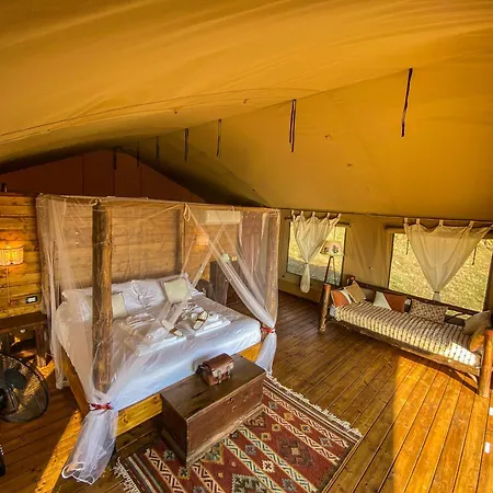 Terra - Tented