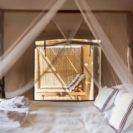 Terra - Tented Saturnia
