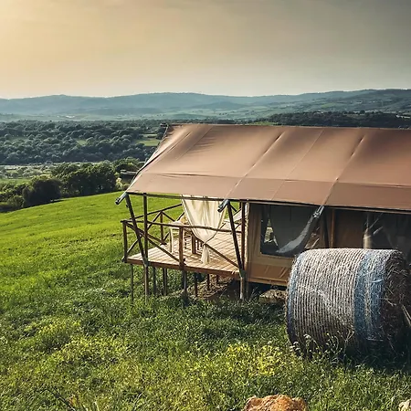 Terra - Tented * Saturnia